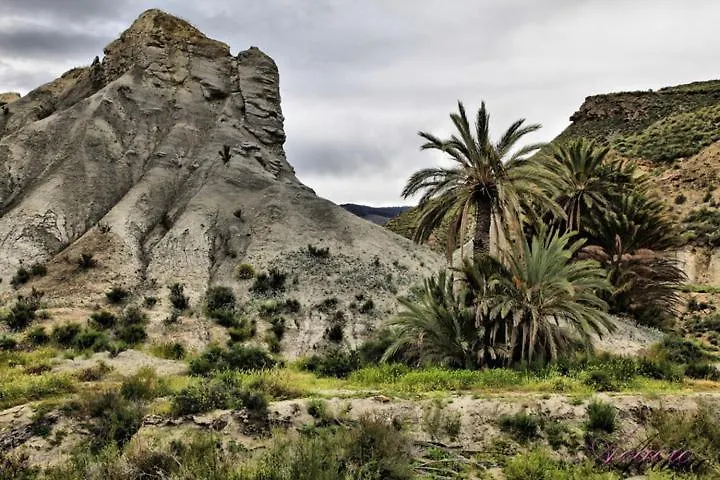 Country house Alojamiento Dunas Centro Tabernas